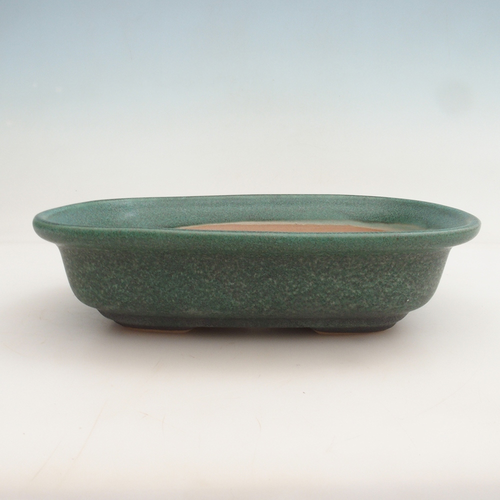 Bonsaischale + Untertasse H25 - 23 x 17 x 5,5 cm - grün