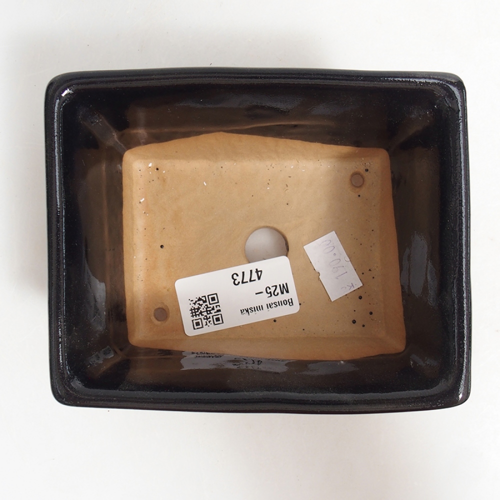 Keramik-Bonsai-Schale, 11,5 x 10,5 x 6 cm, Farbe: Schwarz