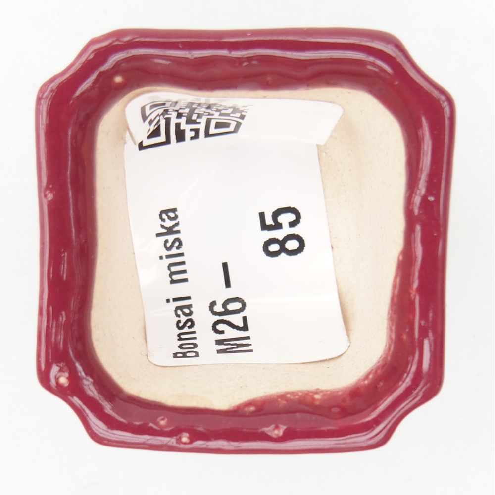 Mini-Bonsaischale 3,5 x 3,5 x 2 cm, bordeauxrot