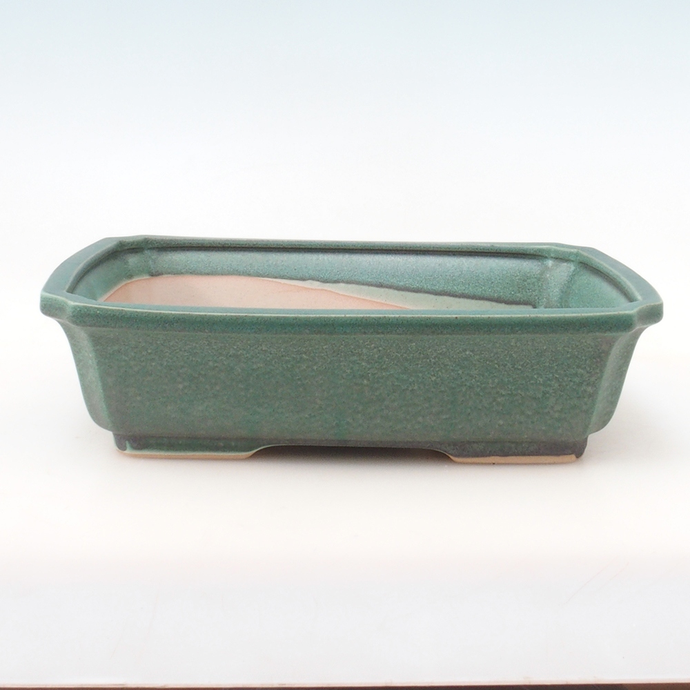 Bonsaischale + Untertasse H07 - 30 x 20,5 x 8 cm - grün