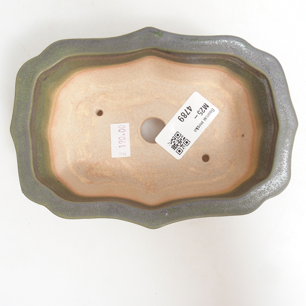 Bonsaischale aus Keramik 15,5 x 11,5 x 4,5 cm, grün