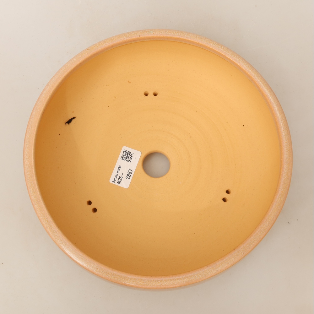 Keramik-Bonsai-Schale 23 x 23 x 7 cm, Farbe: Beige