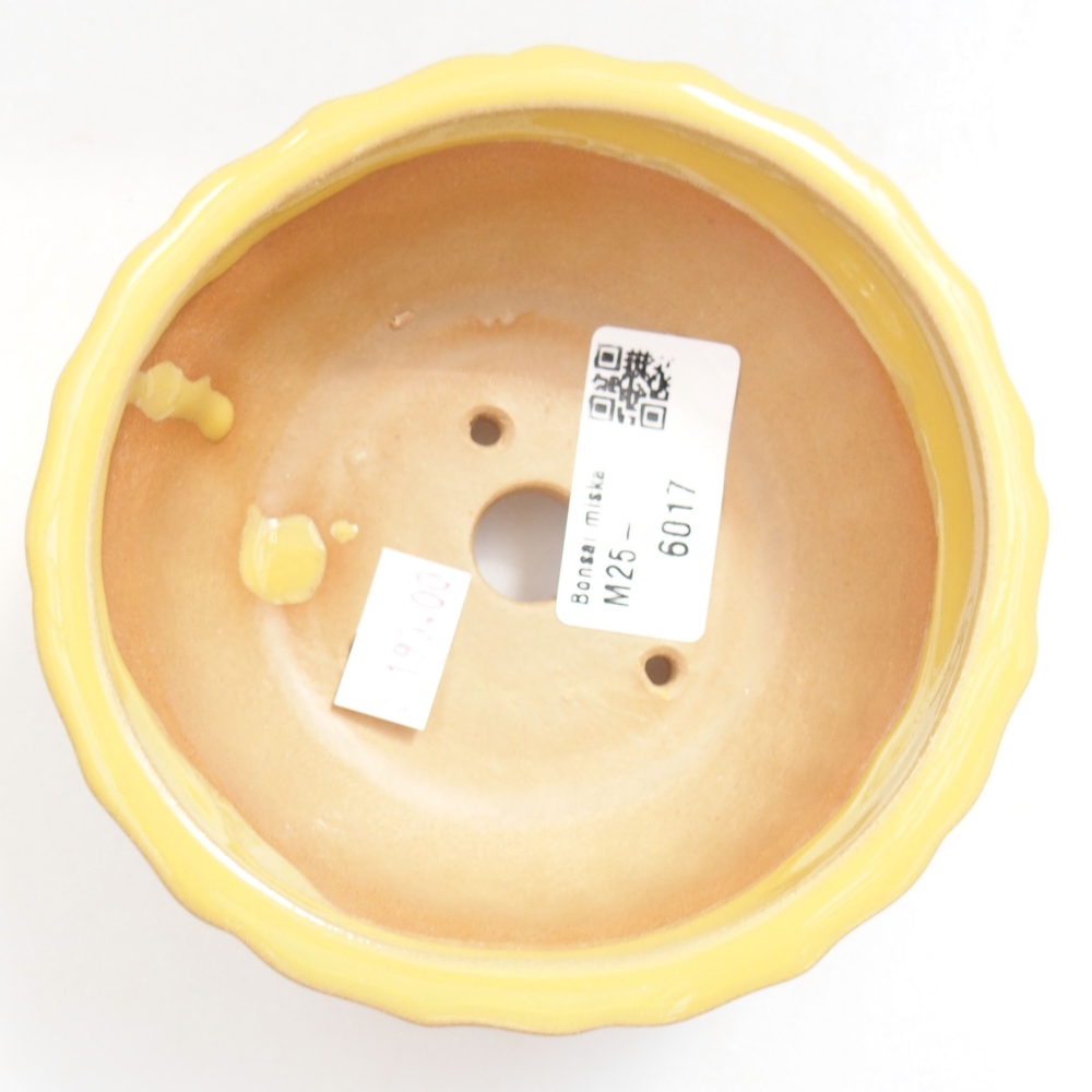 Bonsaischale aus Keramik 15,5 x 12 x 6 cm, Farbe blau