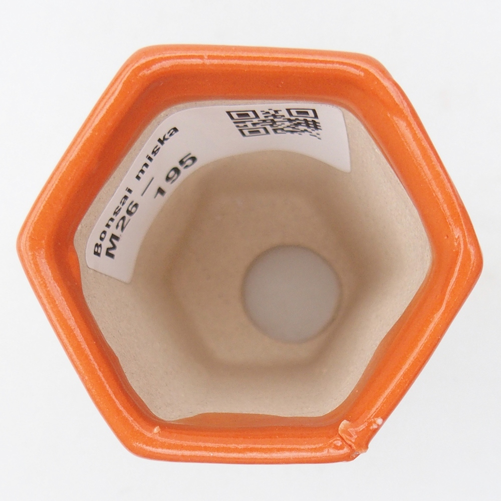 Mini-Bonsaischale 5 x 4,5 x 6,5 cm, orange