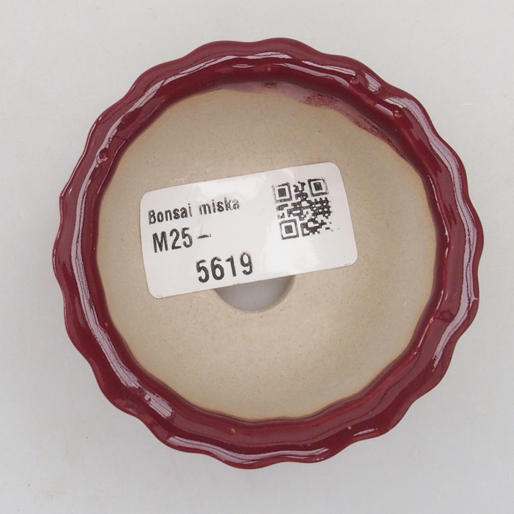 Mini-Bonsaischale 6,5 x 6,5 x 3,5 cm, bordeauxrot