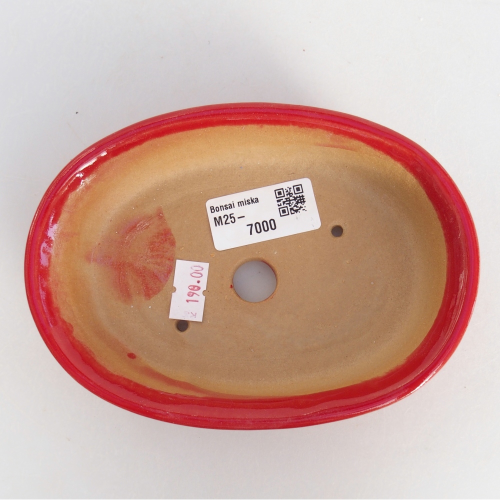 Bonsaischale aus Keramik 15 x 10,5 x 3,5 cm, Farbe rot
