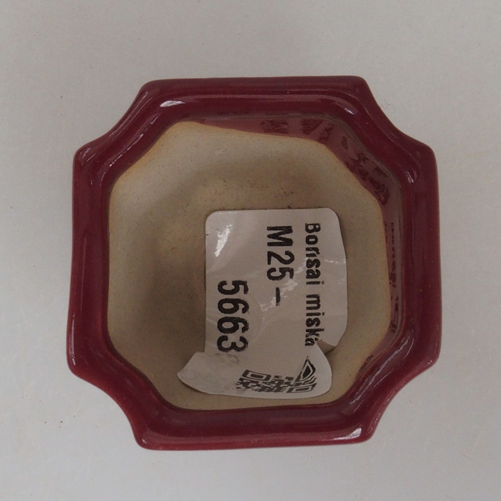 Mini-Bonsaischale 4 x 4 x 3,5 cm, bordeauxrot