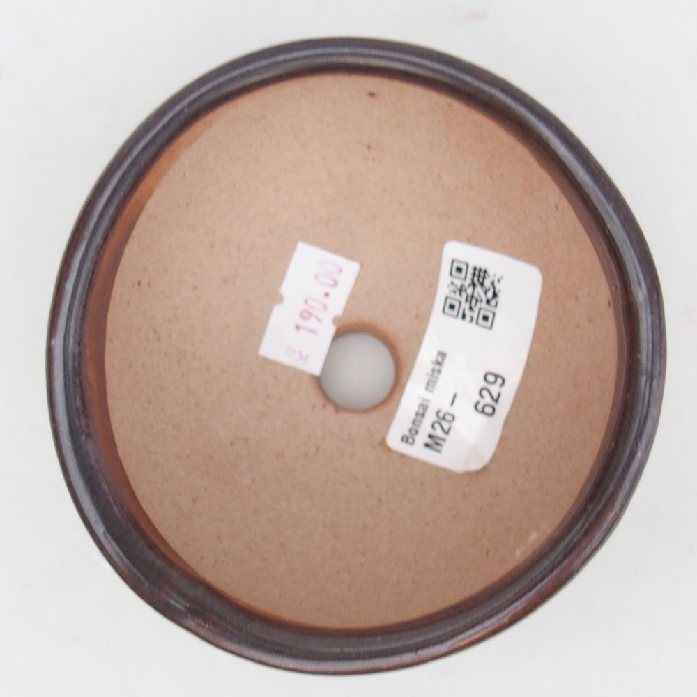 Bonsaischale aus Keramik 125 x 10 x 3 cm, braun