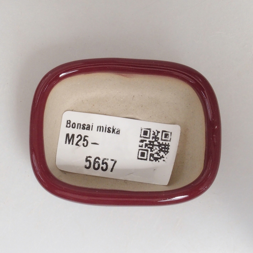 Mini-Bonsaischale 5,5 x 4,5 x 2 cm, bordeauxrot