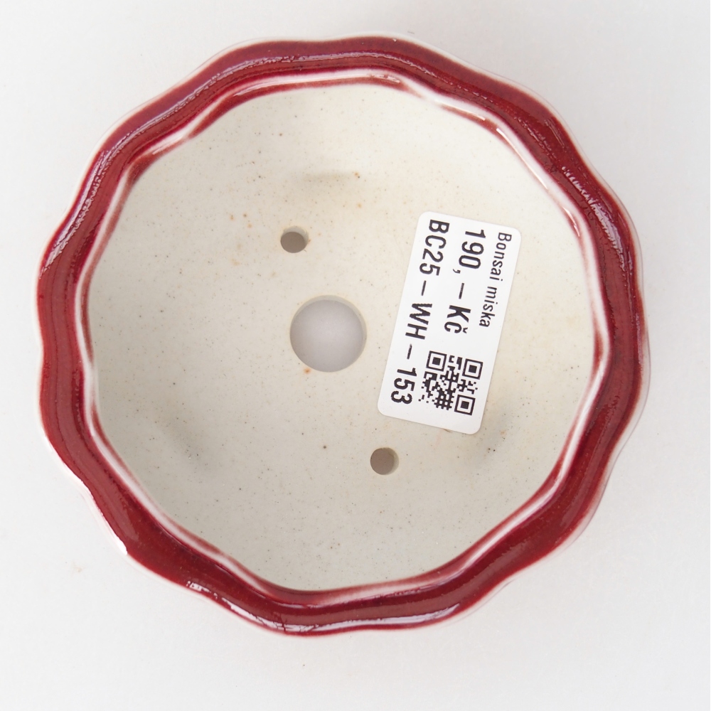 Bonsaischale aus Keramik 10 x 10 x 4 cm, Farbe rot