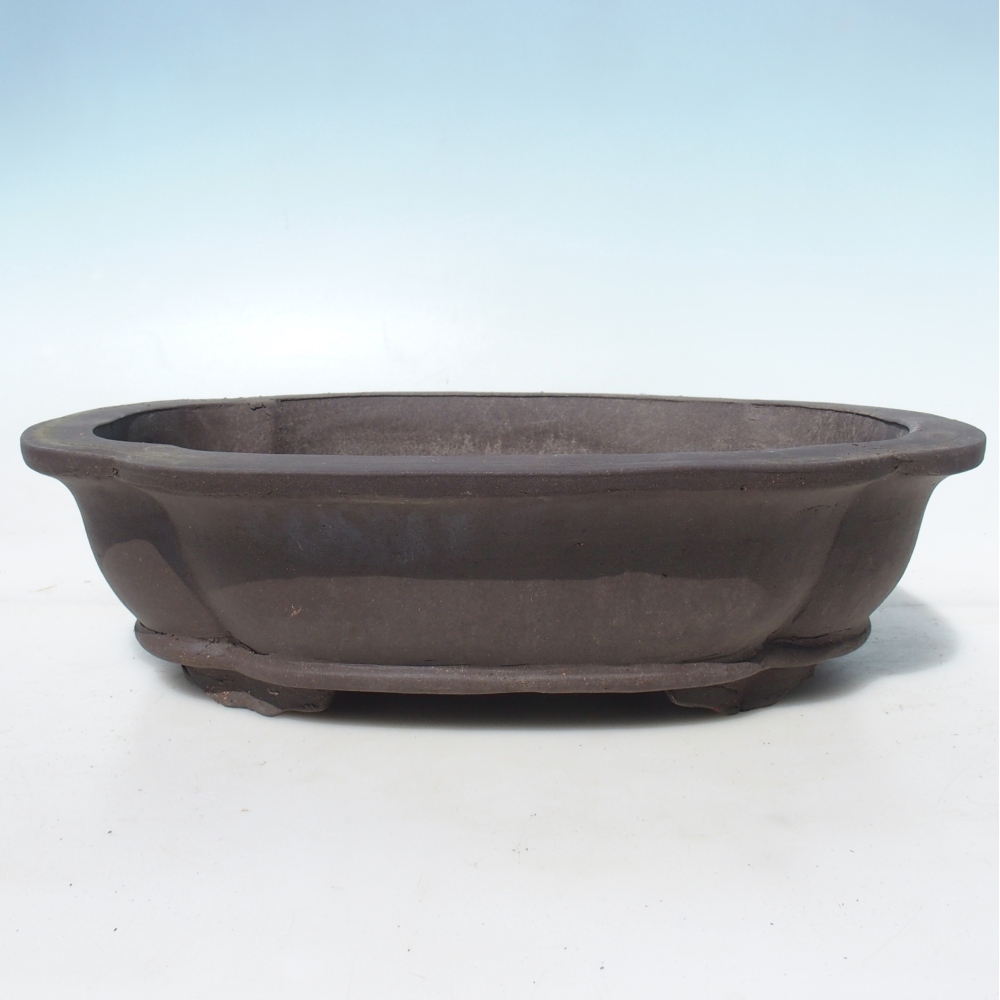 Bonsaischale 40 x 32 x 10,5 cm Birke braun