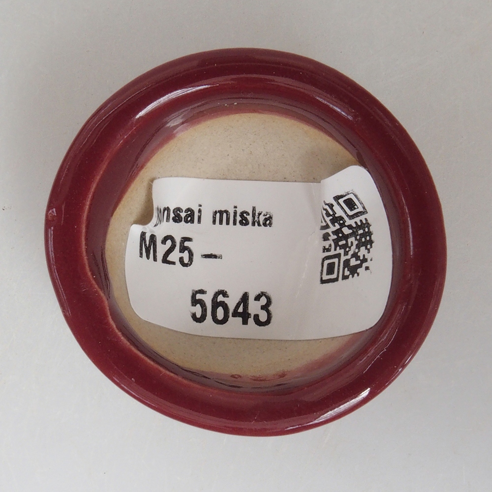 Mini-Bonsaischale 4 x 4 x 2 cm, bordeauxrot