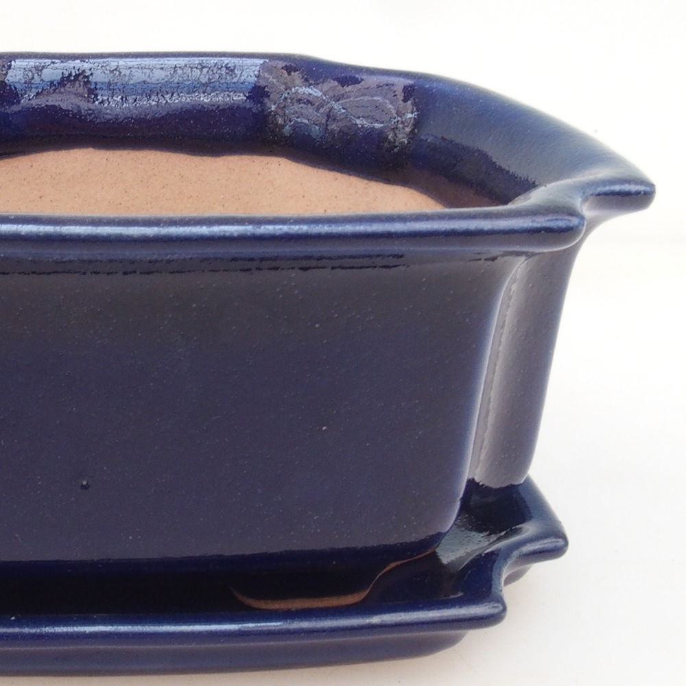 Bonsaischale + Untertasse H01 - blau