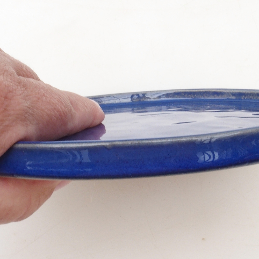 Rund Bonsai Container D7-S - 16 x 16 x 1 cm - blau