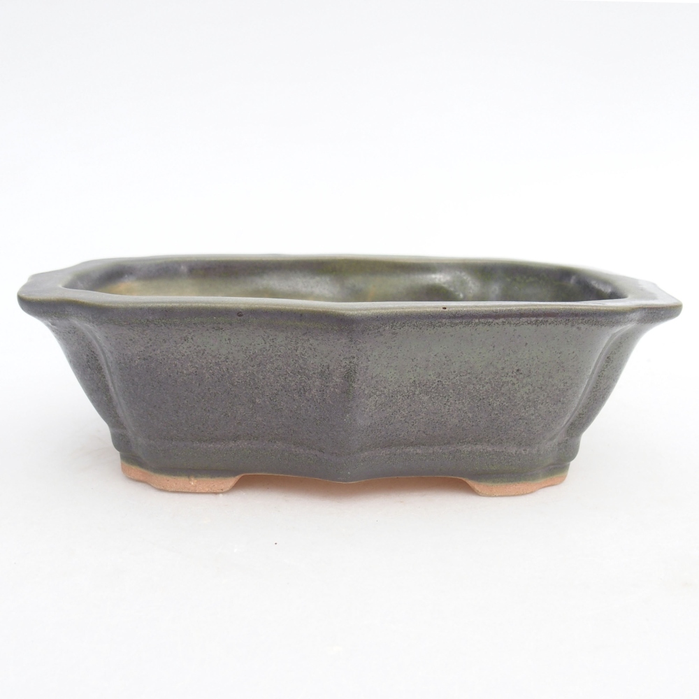 Bonsaischale aus Keramik 15,5 x 11,5 x 4,5 cm, grün