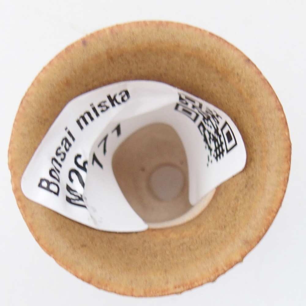 Mini-Bonsaischale 3 x 3 x 3,5 cm, braun