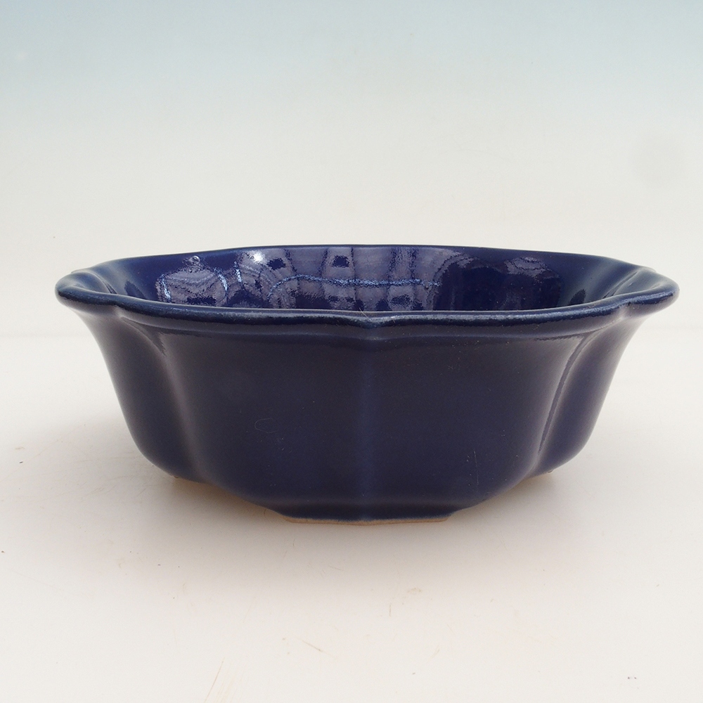 Bonsaischale + Untertasse H06 - 14,5 x 14,5 x 5 cm - blau