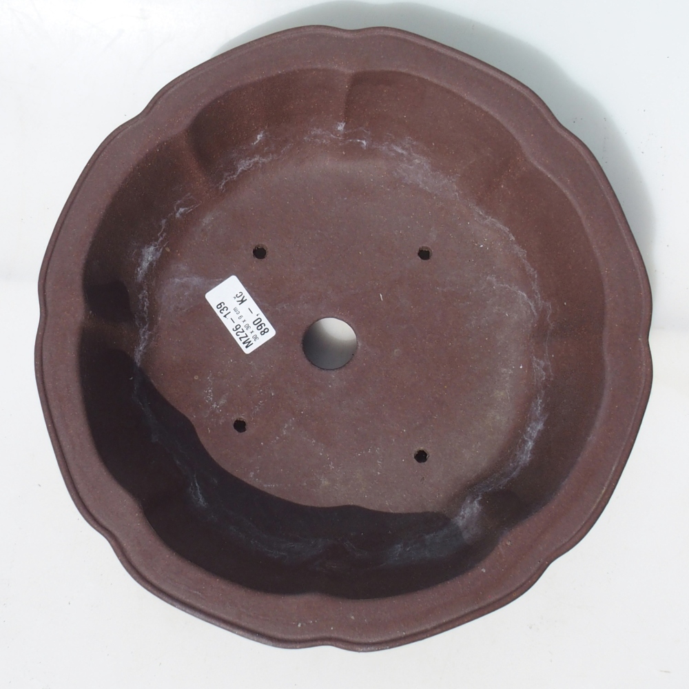 Bonsaischale 30 x 30 x 9 cm Birke braun