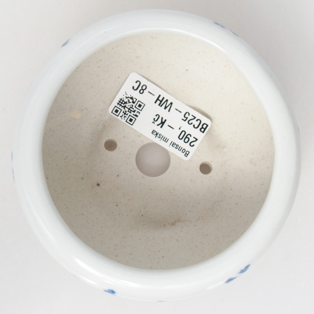 Bonsaischale aus Keramik 10 x 10 x 5 cm, Farbe weiß