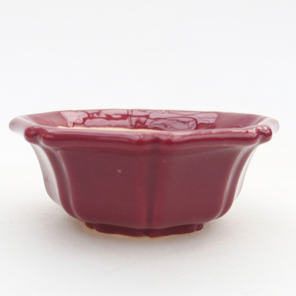 Mini-Bonsaischale 6 x 6 x 2,5 cm, bordeauxrot