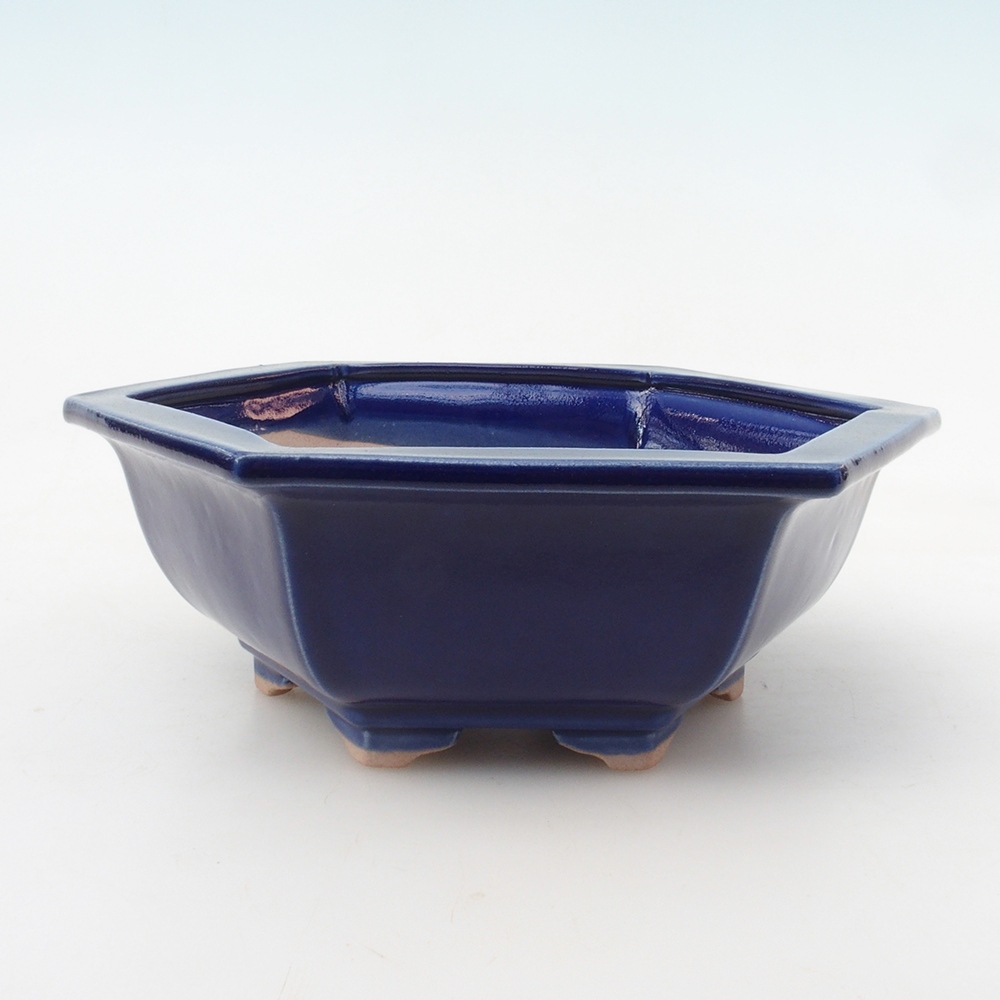 Bonsaischale + Untertasse H53 - 19 x 21,5 x 7 cm - blau