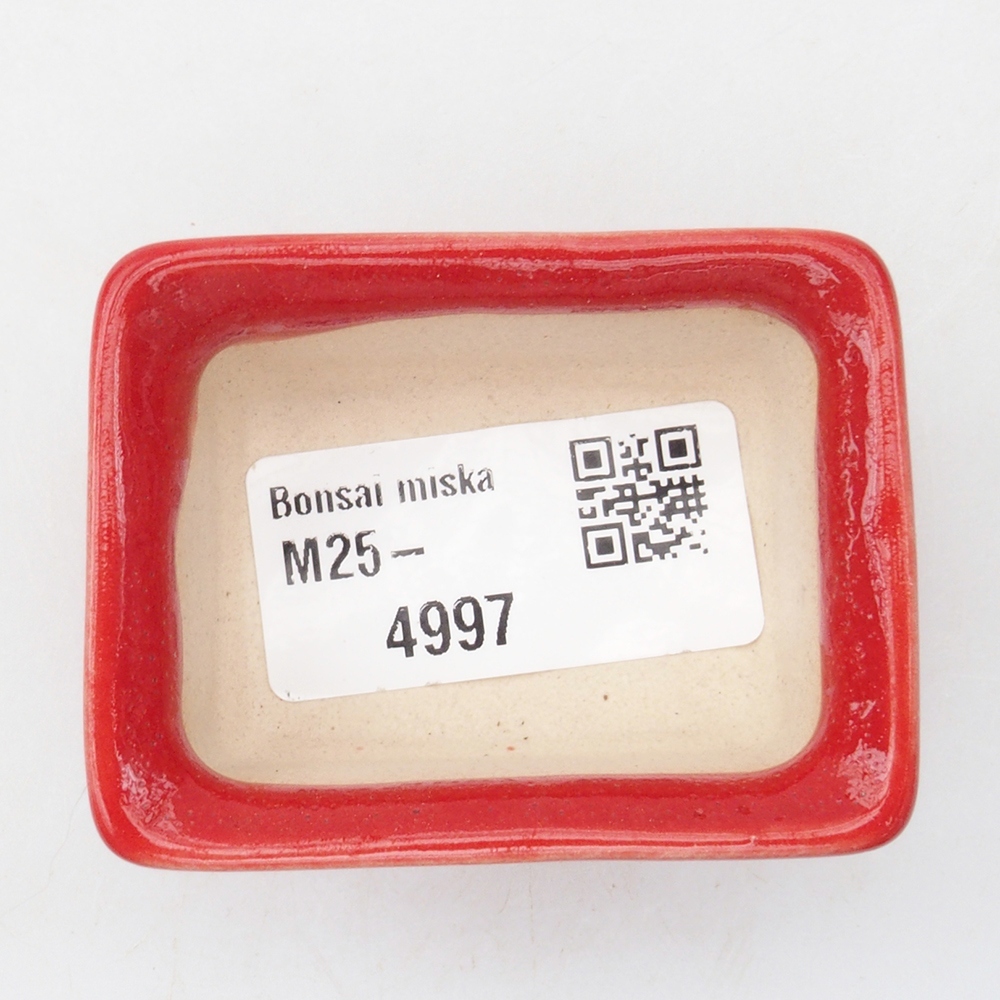 Mini-Bonsaischale 5,5 x 4 x 2,5 cm, Farbe rot