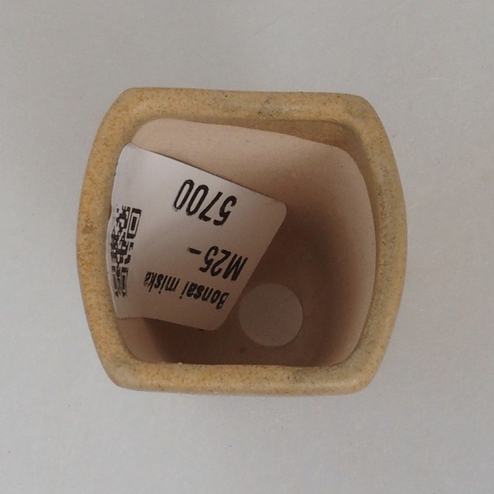 Mini-Bonsaischale 3,5 x 3 x 5 cm, braun