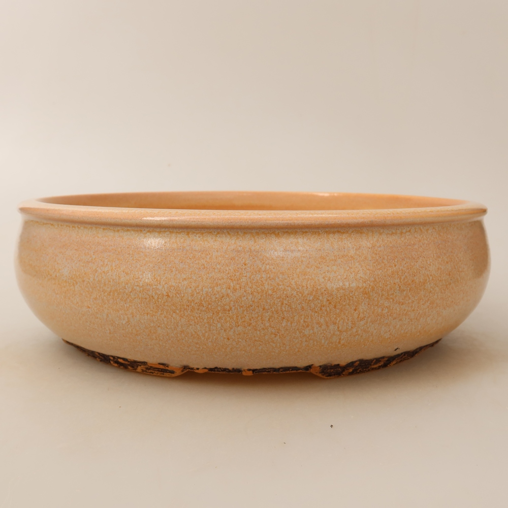 Bonsaischale aus Keramik 24 x 24 x 7 cm, Farbe beige