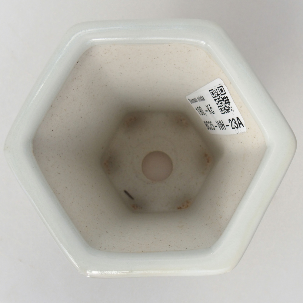 Bonsaischale aus Keramik 10 x 9 x 9 cm, Farbe weiß