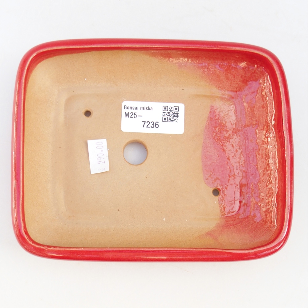Bonsaischale aus Keramik 16,5 x 13,5 x 3,5 cm, Farbe rot