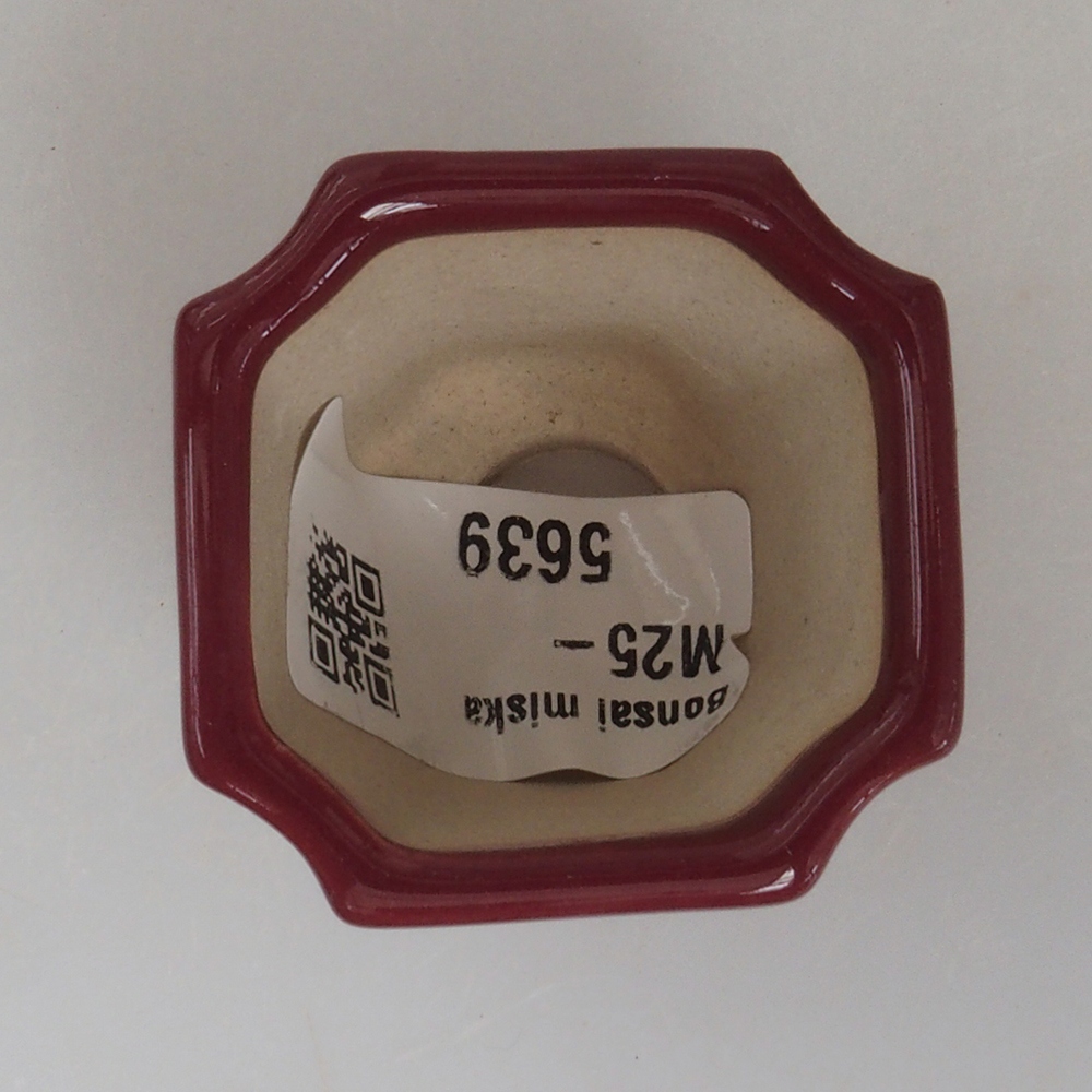 Mini-Bonsaischale 4 x 4 x 4 cm, bordeauxrot