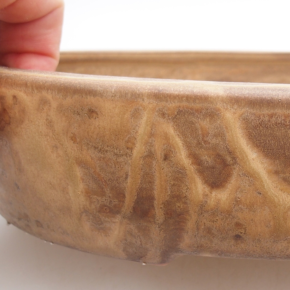 Bonsaischale aus Keramik 26 x 20 x 5 cm, Farbe beige