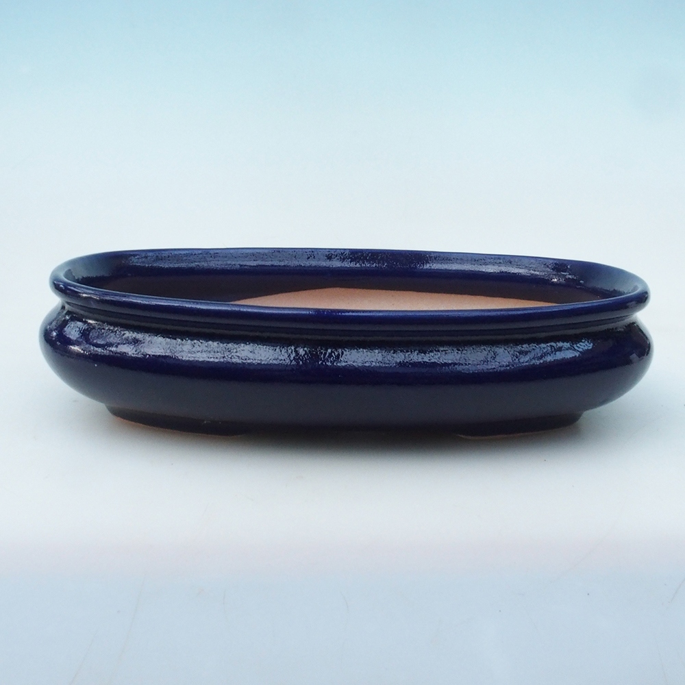 Bonsaischale + Untertasse H15 - 25,5x17,5x6 cm - blau