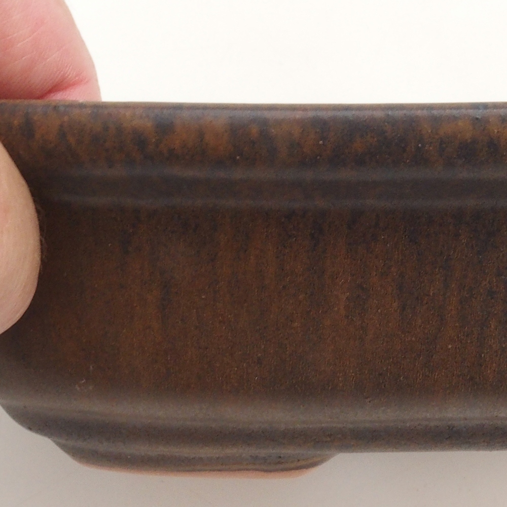 Bonsaischale H25 - 23 x 17 x 5,5 cm - braun