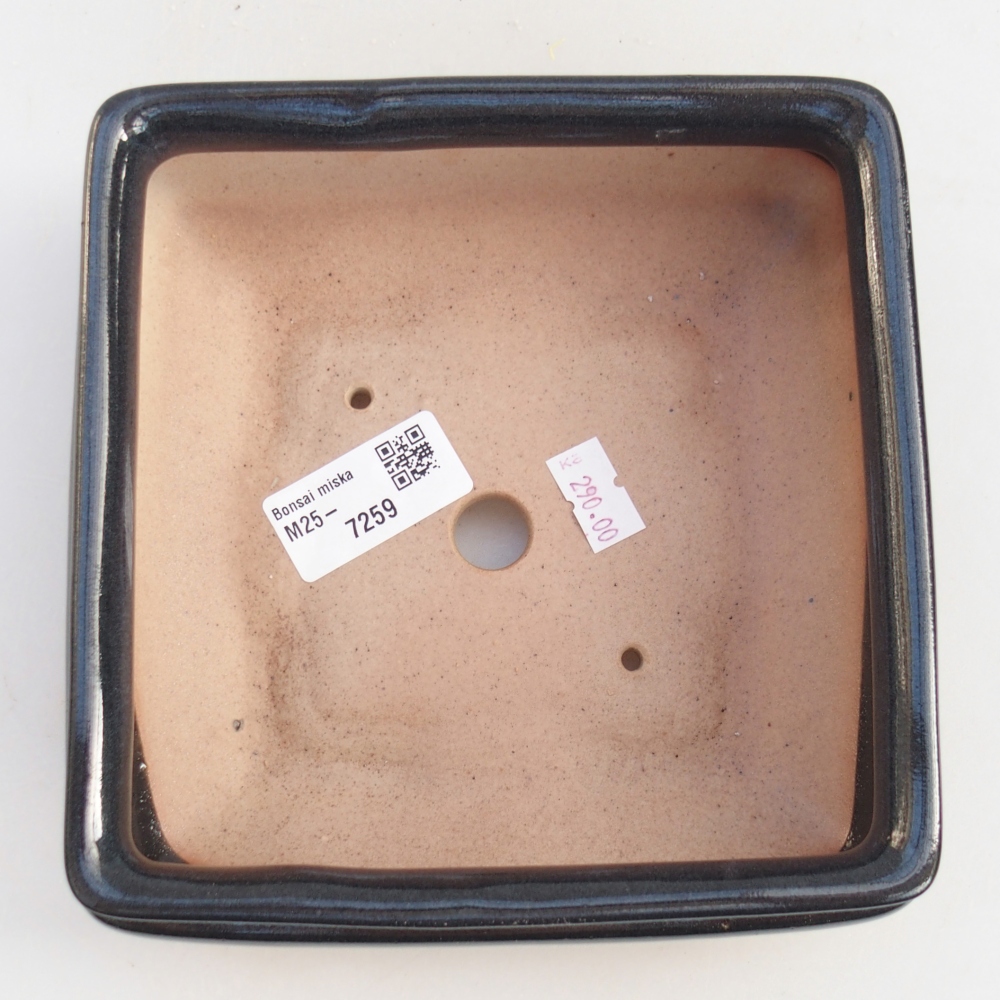 Bonsaischale aus Keramik 15,5 x 15,5 x 6 cm, schwarz