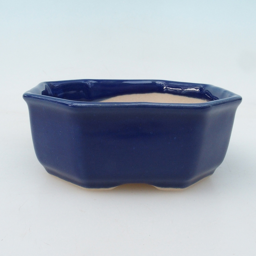 Bonsaischale + Untertasse H13 - 12,5x12,5 x4,5 cm - blau