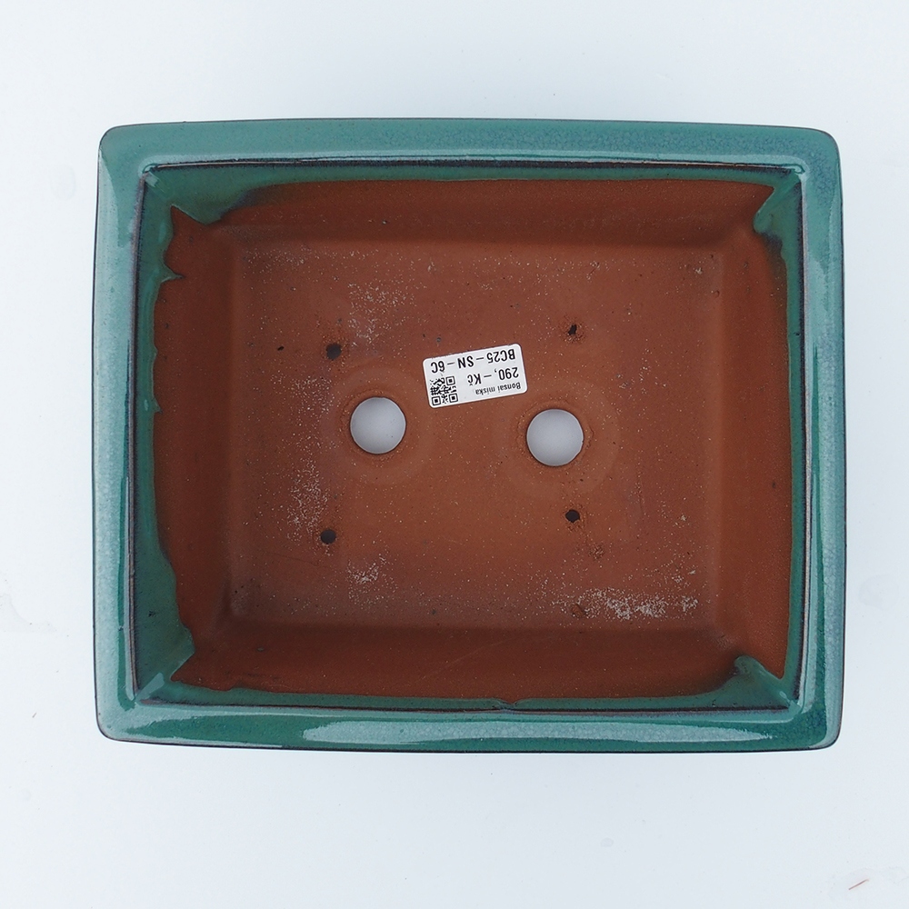 Schale 26 x 21,5 x 10 cm grün