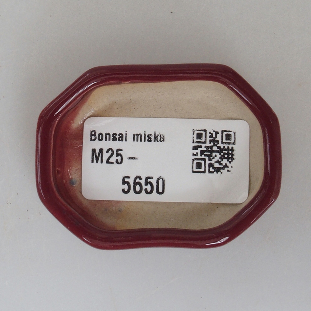 Mini-Bonsaischale 5,5 x 4 x 1,5 cm, Farbe bordeauxrot