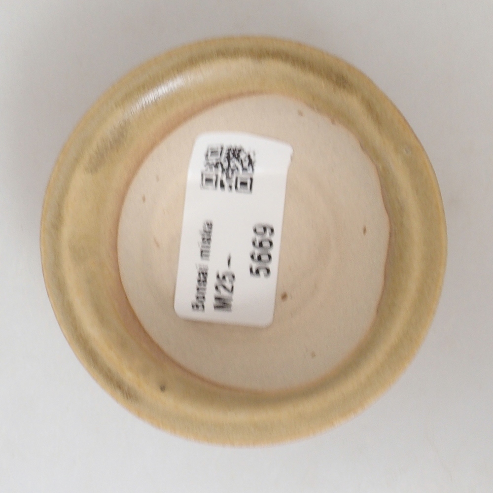 Mini-Bonsaischale 7 x 7 x 2,5 cm, braun