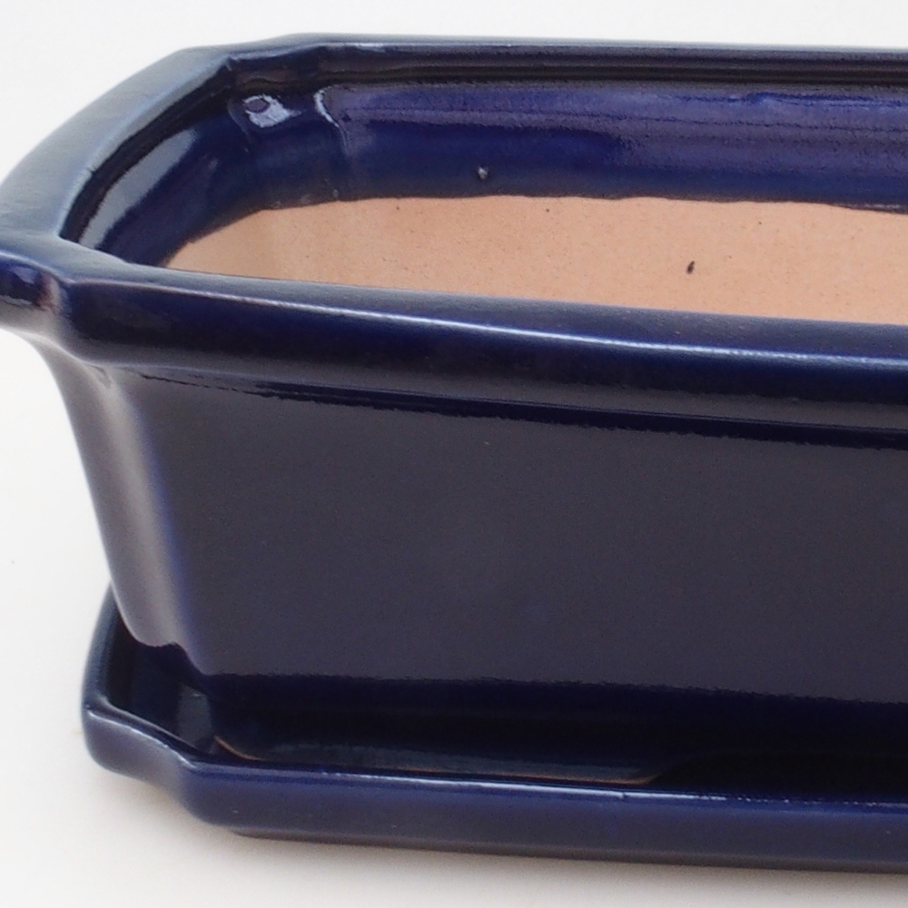 Bonsaischale + Untertasse H07 - 30 x 20,5 x 8 cm - blau