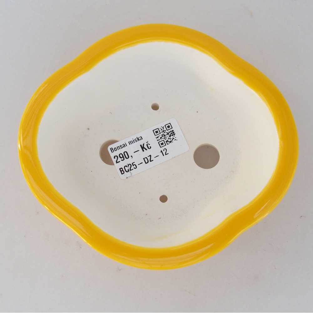 Bonsaischale aus Keramik 13 x 12 x 5 cm, gelb