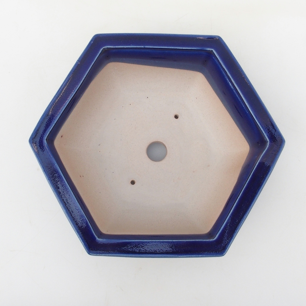 Bonsaischale H53 - 19 x 21,5 x 7 cm - blau