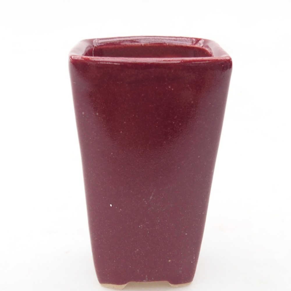 Mini-Bonsaischale 3,5 x 3 x 5,5 cm, Farbe bordeauxrot