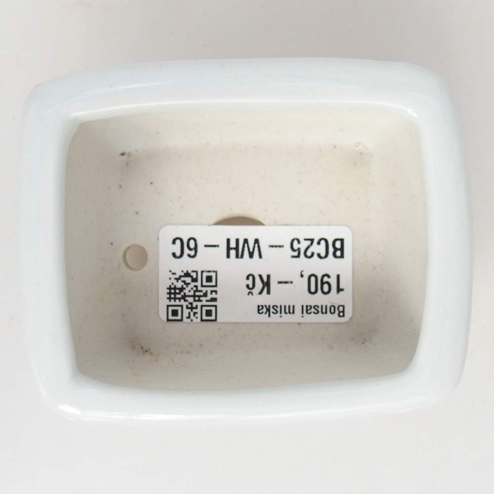 Mini-Bonsaischale 8 x 6,5 x 3,5 cm, weiß