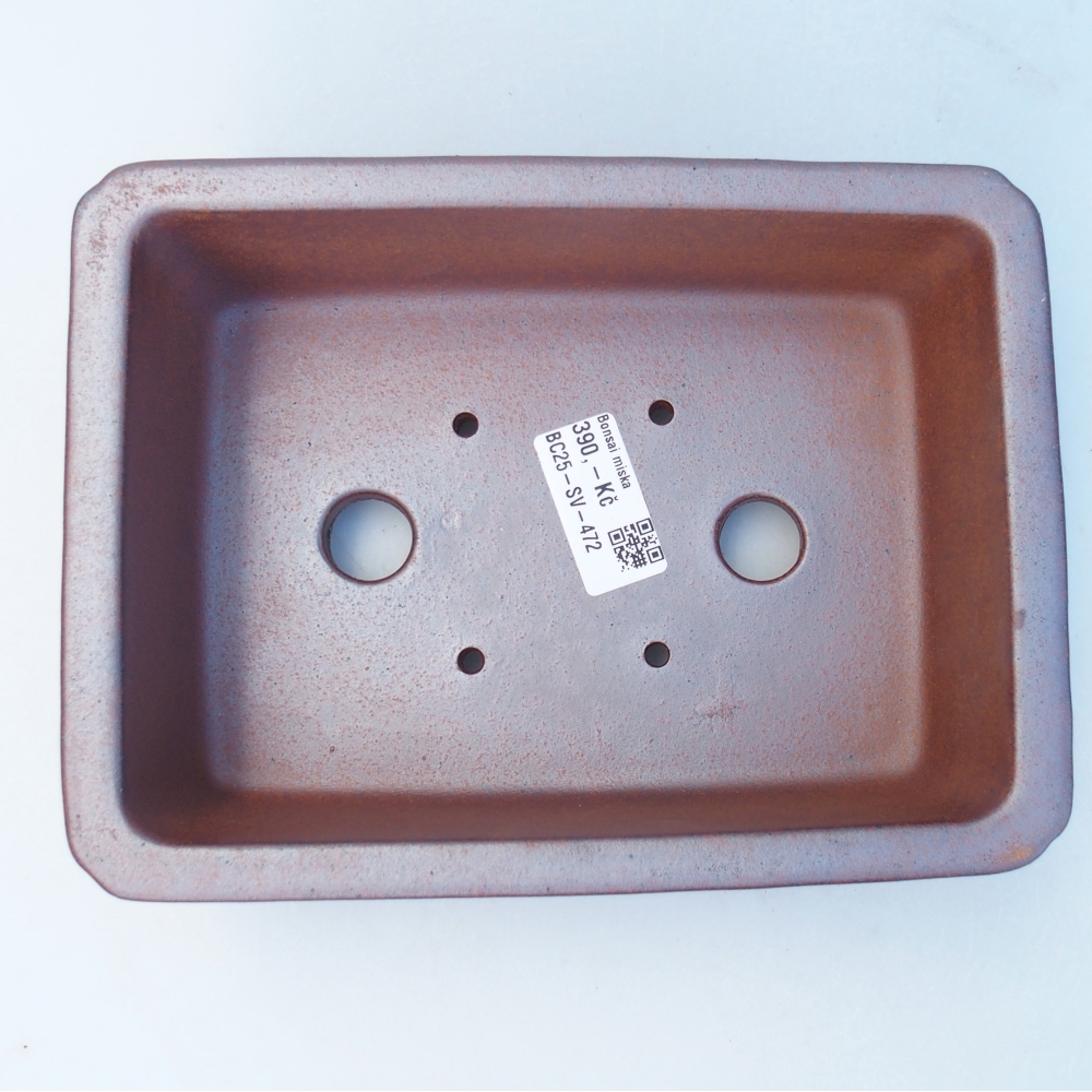 Schale 20 x 15 x 7 cm braun