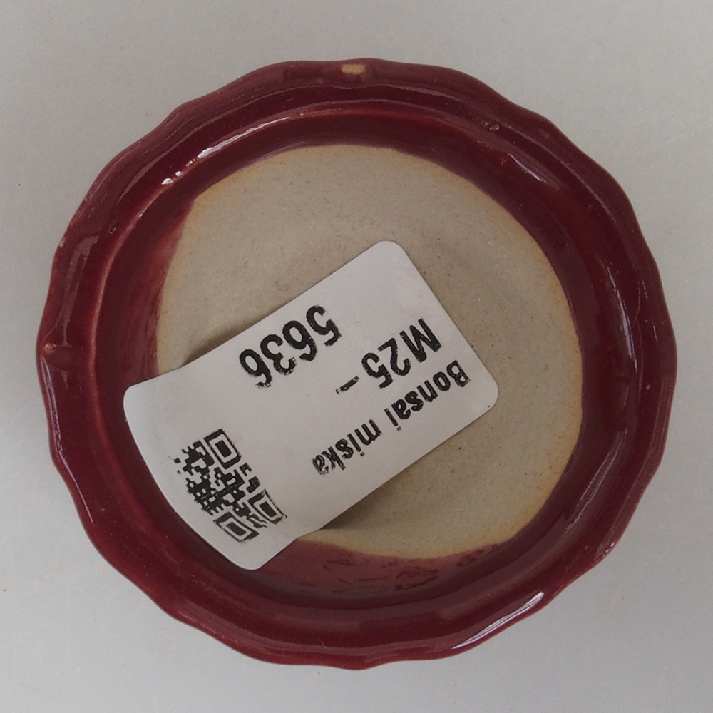 Mini-Bonsaischale 5 x 5 x 2,5 cm, Farbe burgunderrot