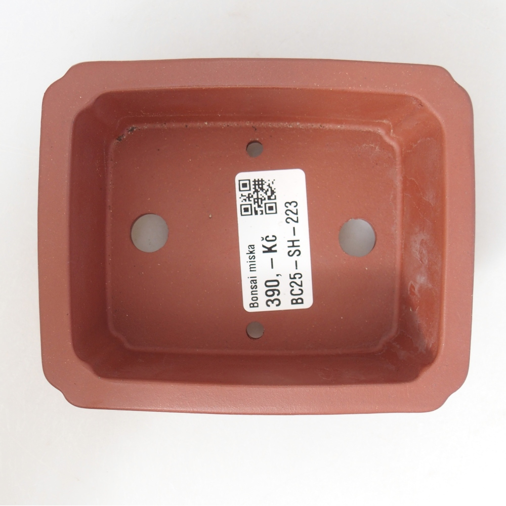Schale 11 x 9 x 3,5 cm ziegelfarben