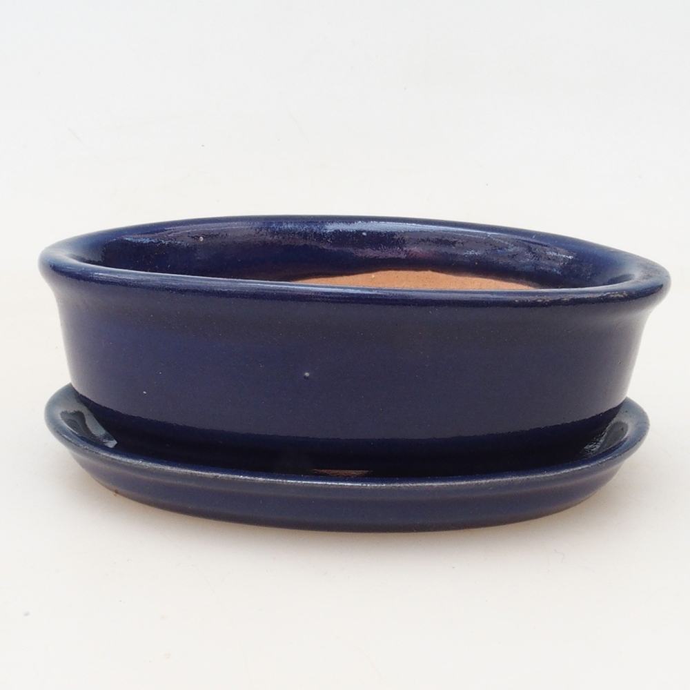 Bonsaischale + Untertasse H04 - blau