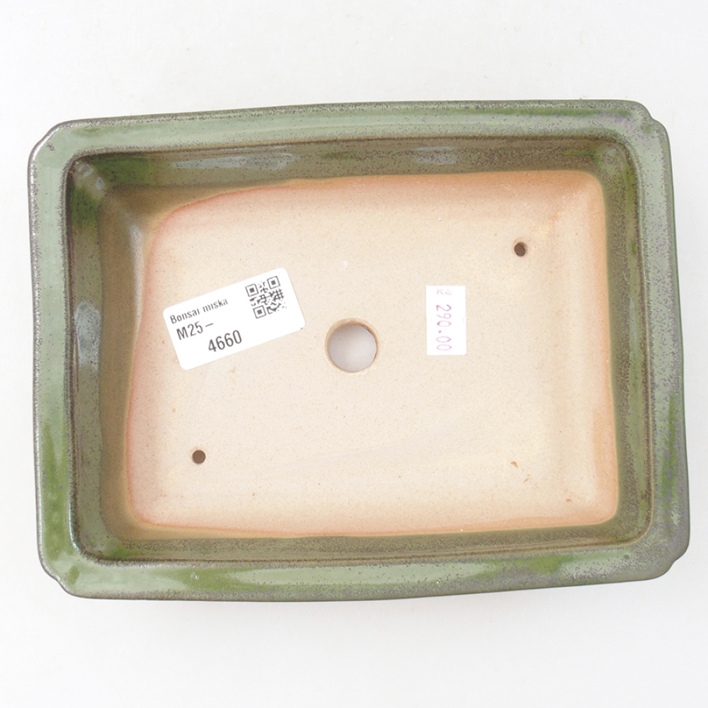 Bonsaischale aus Keramik 17,5 x 13 x 4 cm, grün