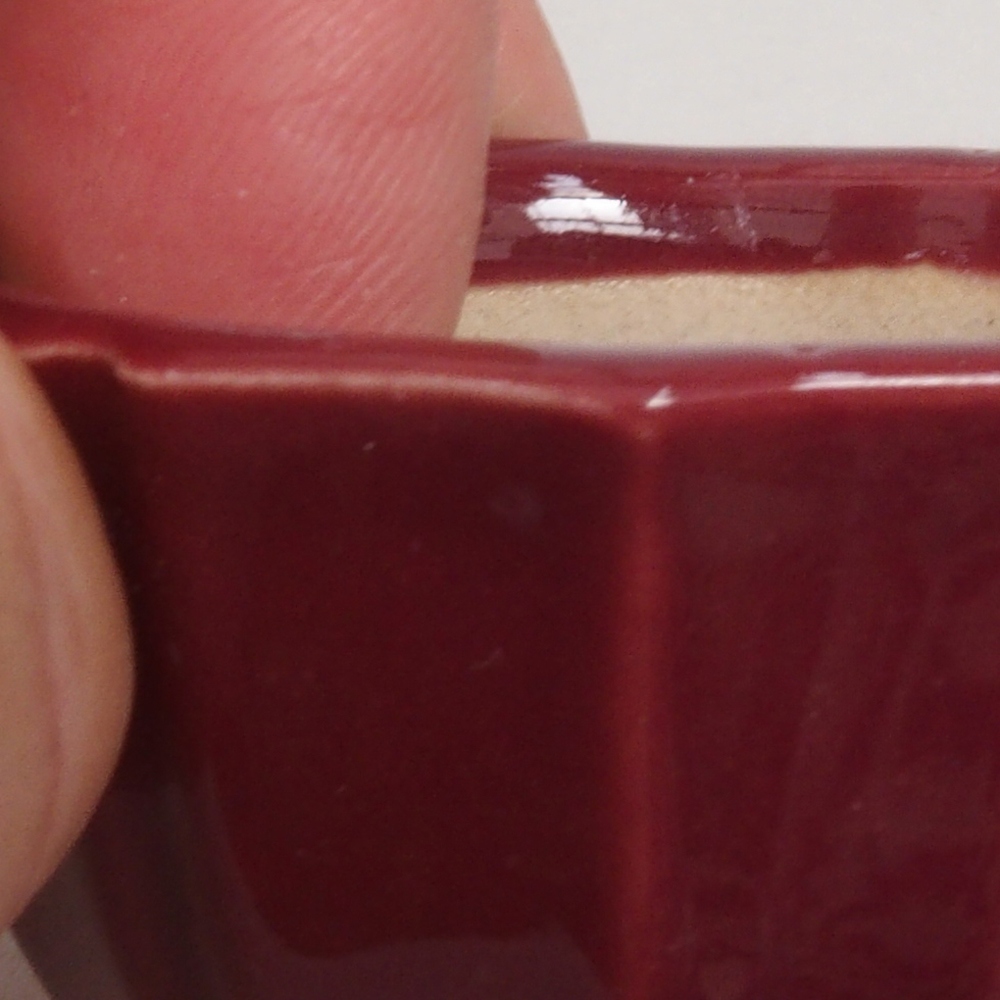 Mini-Bonsaischale 5 x 5 x 3 cm, bordeauxrot